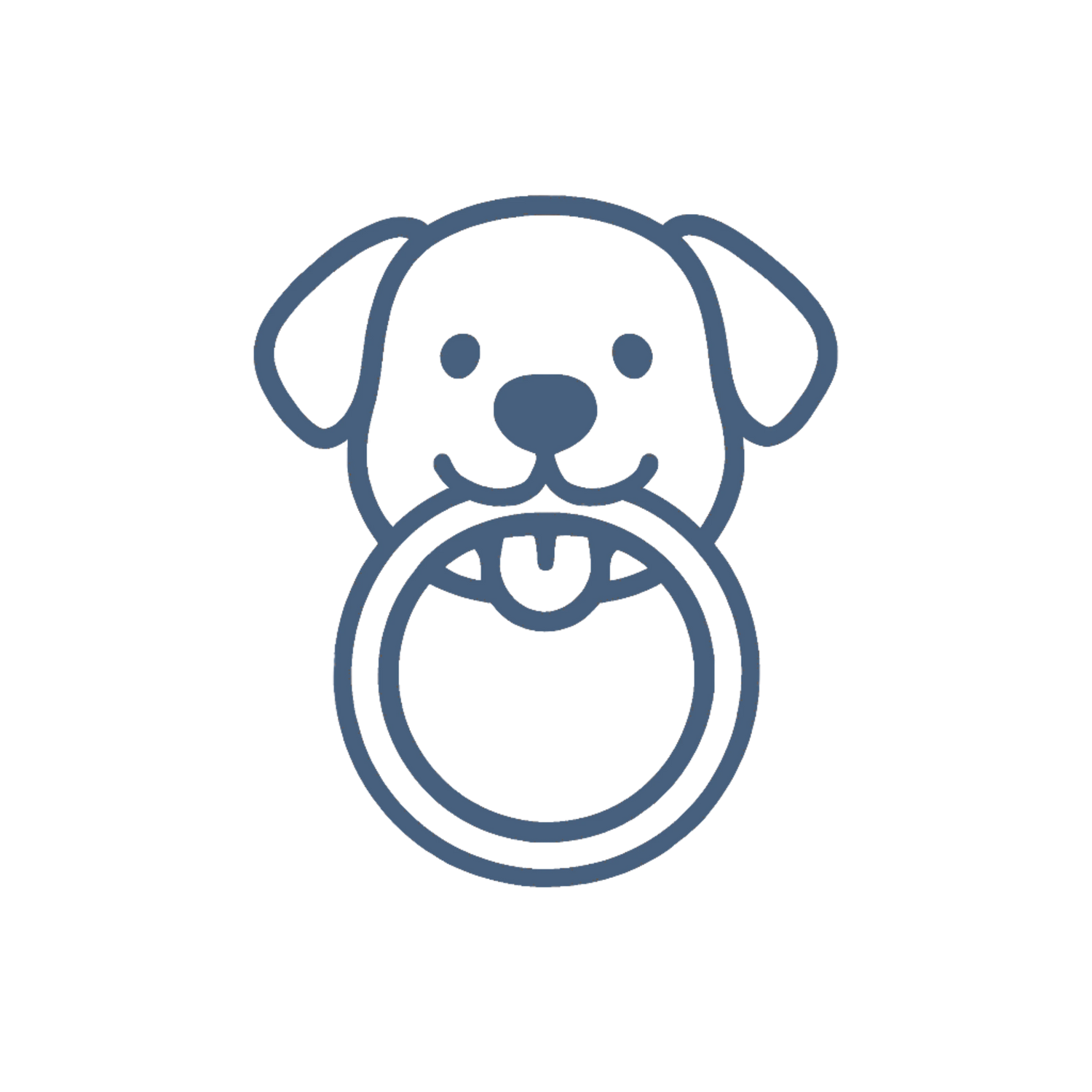 dog toys