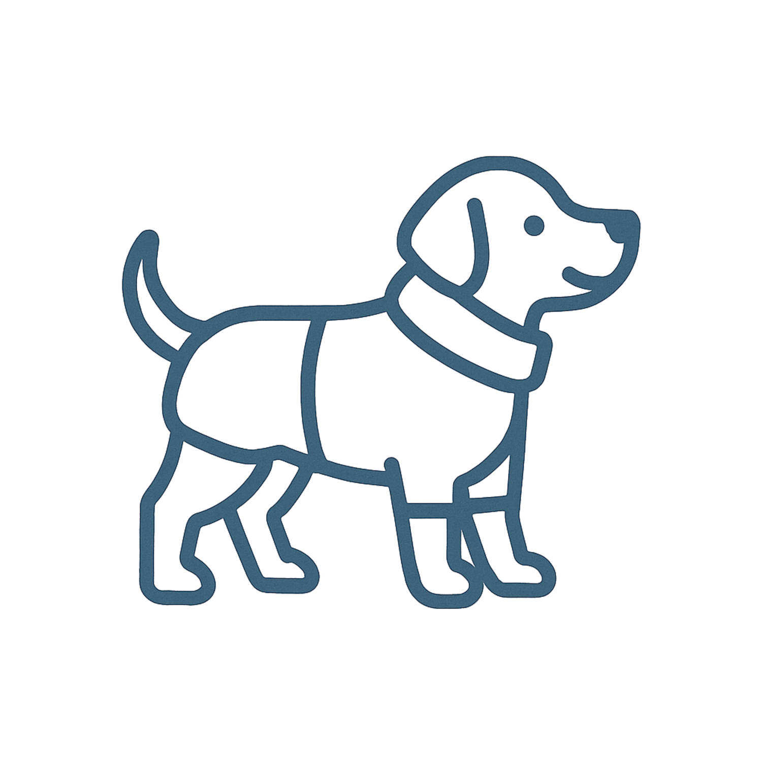 dog apparel