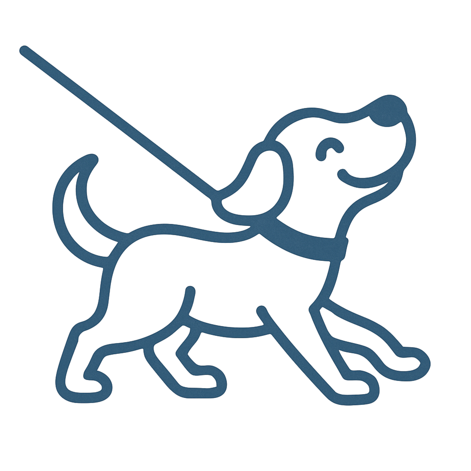 dog walking