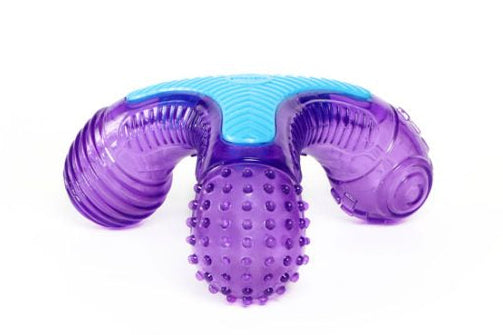GiGwi – Multi-Sound Bone