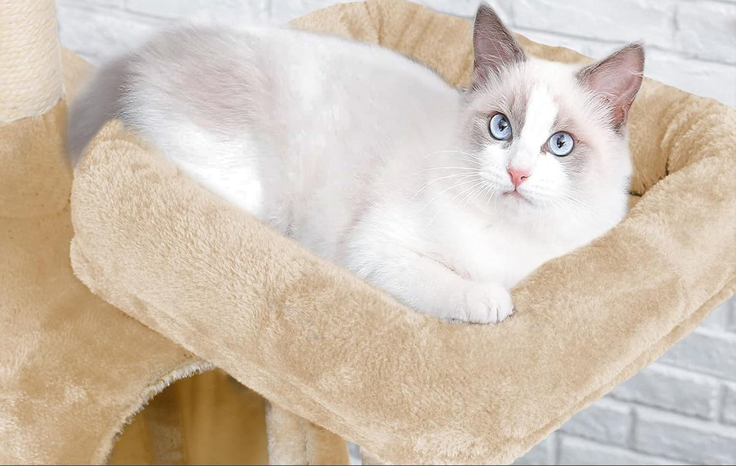 Cat Tree Tower – Plush Condo & Scratcher - Beige 180cm